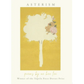 Asterism - Paperback