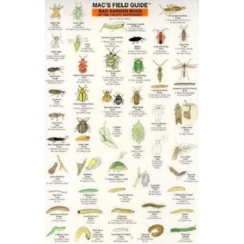 Mac's Field Guides: Northwest Garden Bugs - Paperback
