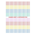 Damien Hirst: A Retrospective - Paperback