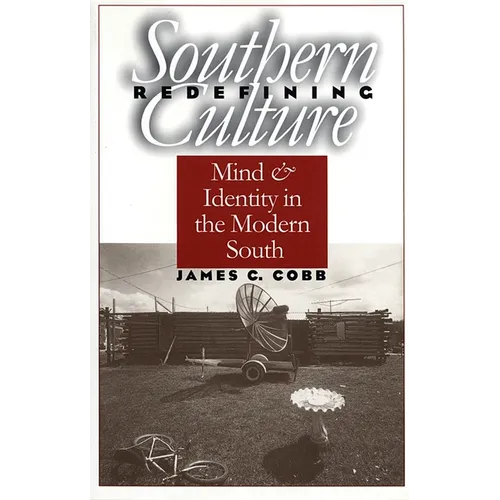 Redefining Southern Culture: Mind and Identity in the Modern South