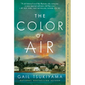 The Color of Air - Paperback