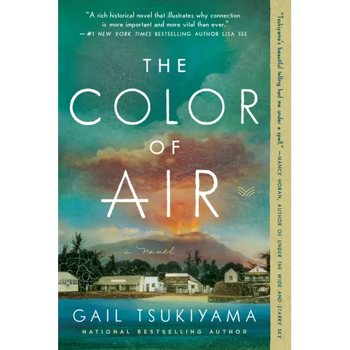 The Color of Air - Paperback