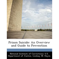 Prison Suicide: An Overview and Guide to Prevention - Paperback