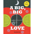 A Big, Big Love - Paperback