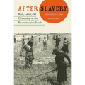 After Slavery: Race, Labor, and Citizenship in the Reconstruction South