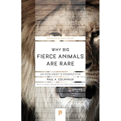 Why Big Fierce Animals Are Rare: An Ecologist's Perspective - Paperback