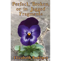 Perfect, Broken or in Jagged Fragments - Paperback