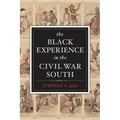 The Black Experience in the Civil War South - Paperback
