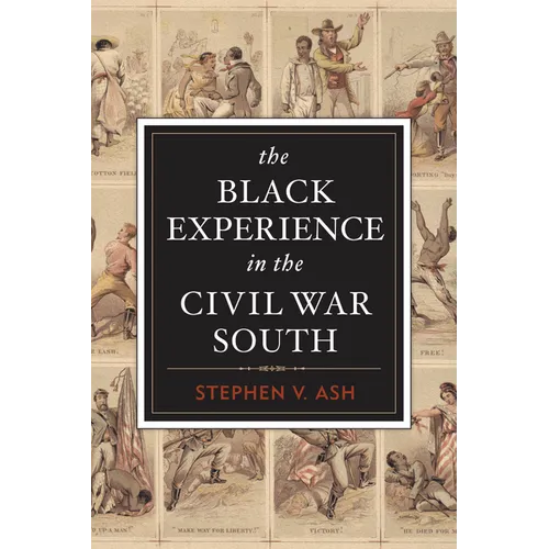 The Black Experience in the Civil War South - Paperback