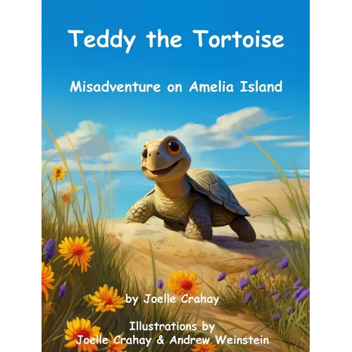 Teddy the Tortoise, Misadventure on Amelia Island - Hardcover