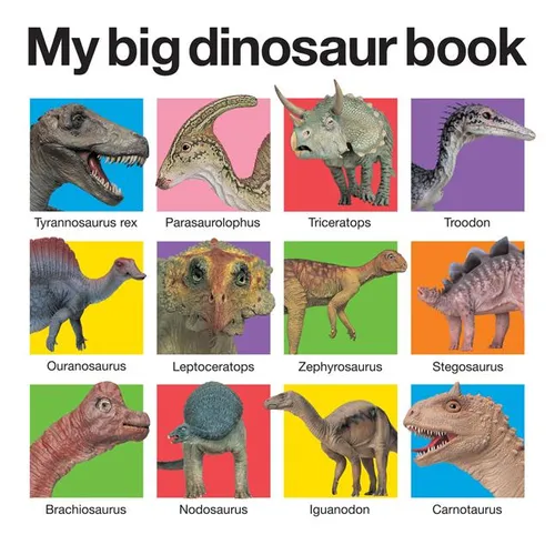 My Big Dinosaur Book - Board Book