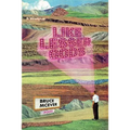 Like Lesser Gods - Paperback