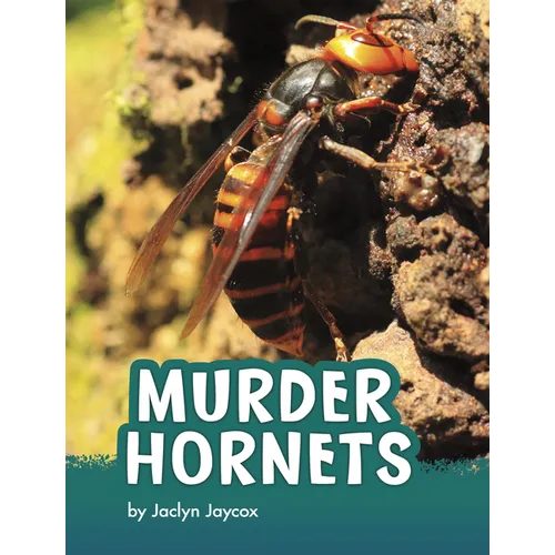 Murder Hornets - Paperback