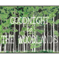 Goodnight to The Woodlands - Hardcover