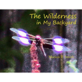 The Wilderness in My Backyard - Paperback