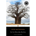 The Tree Where Man Was Born - Paperback