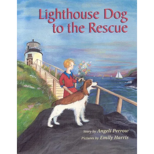 Lighthouse Dog to the Rescue - Paperback