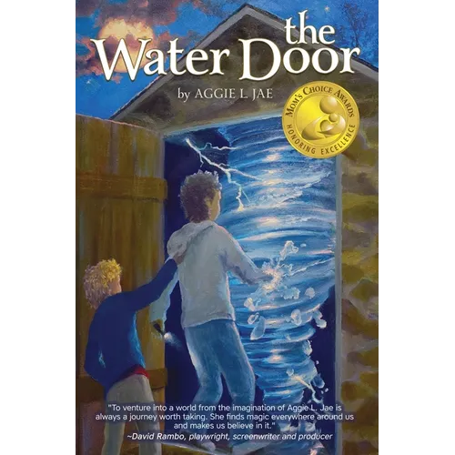 The Water Door - Paperback