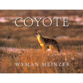 Coyote - Paperback