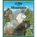 A Day on the Mountain - Paperback