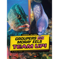 Groupers and Moray Eels Team Up! - Paperback