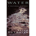 Water: A Natural History - Paperback