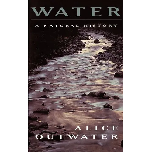 Water: A Natural History - Paperback