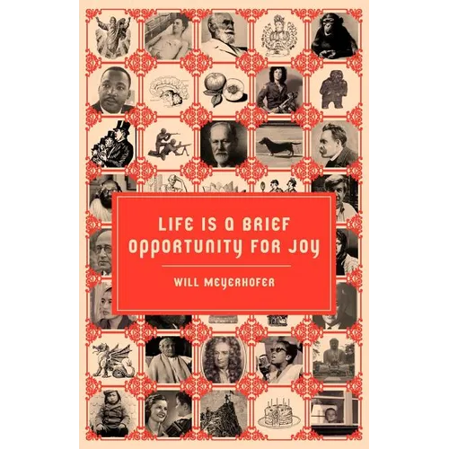 Life is a Brief Opportunity for Joy - Paperback