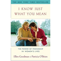 I Know Just What You Mean: The Power of Friendship in Women's Lives - Paperback
