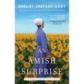 An Amish Surprise - Paperback