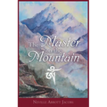The Master on the Mountain - Paperback