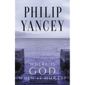 Where Is God When It Hurts?: Your Pain Is Real . . . When Will It End? - Paperback