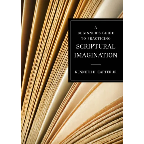 A Beginner's Guide to Practicing Scriptural Imagination - Paperback