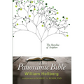 The Panoramic Bible: The Storyline of Scripture - Paperback