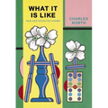 What It Is Like: New and Selected Poems - Paperback
