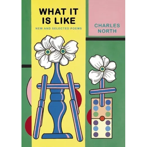 What It Is Like: New and Selected Poems - Paperback