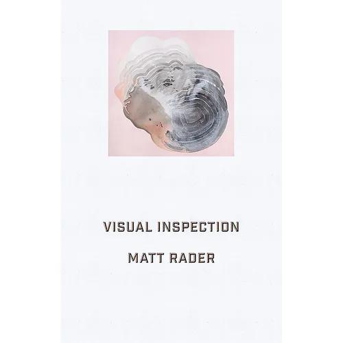 Visual Inspection - Paperback