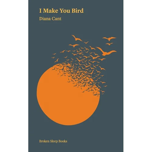 I Make You Bird - Paperback