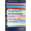 Perspectives in Meiobenthology: Reviews, Reflections and Conclusions - Paperback