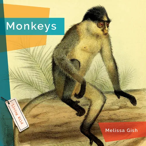 Monkeys - Paperback