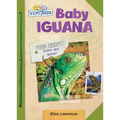 Baby Iguana - Library Binding