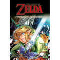 The Legend of Zelda: Twilight Princess, Vol. 9 - Paperback
