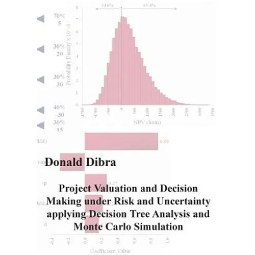 Project Valuation and Decision Making under Risk and Uncertainty applying Decision Tree Analysis and Monte Carlo Simulation - Paperback