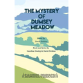 The Mystery of Dumsey Meadow - Paperback