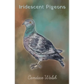 Iridescent Pigeons - Paperback