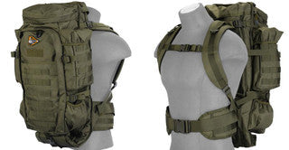 Gun Cases & Carry Packs