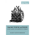 Sanctification as Set Apart and Growing in Christ - Paperback