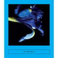 Elektrik: Caribbean Writing - Paperback