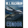 Condor: a political technothriller
