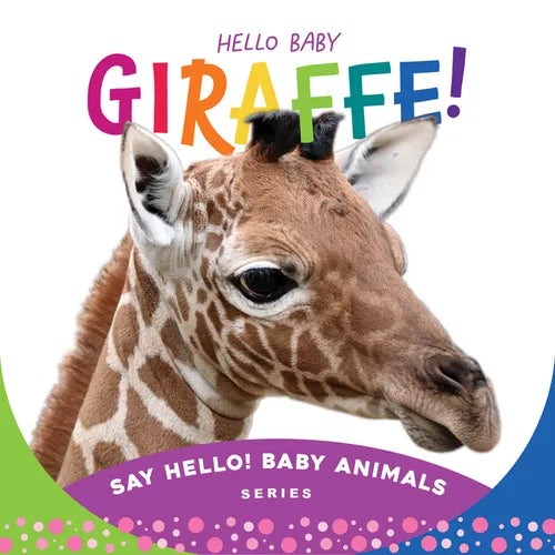 Hello Baby Giraffe! - Board Book